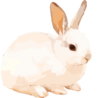 兔子简约插画