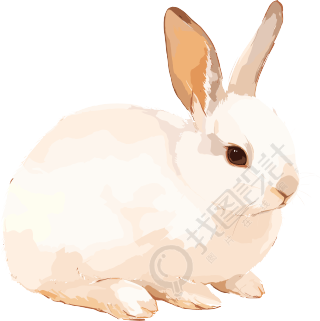 兔子简约插画