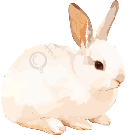 兔子简约插画
