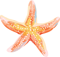 海洋海星插图