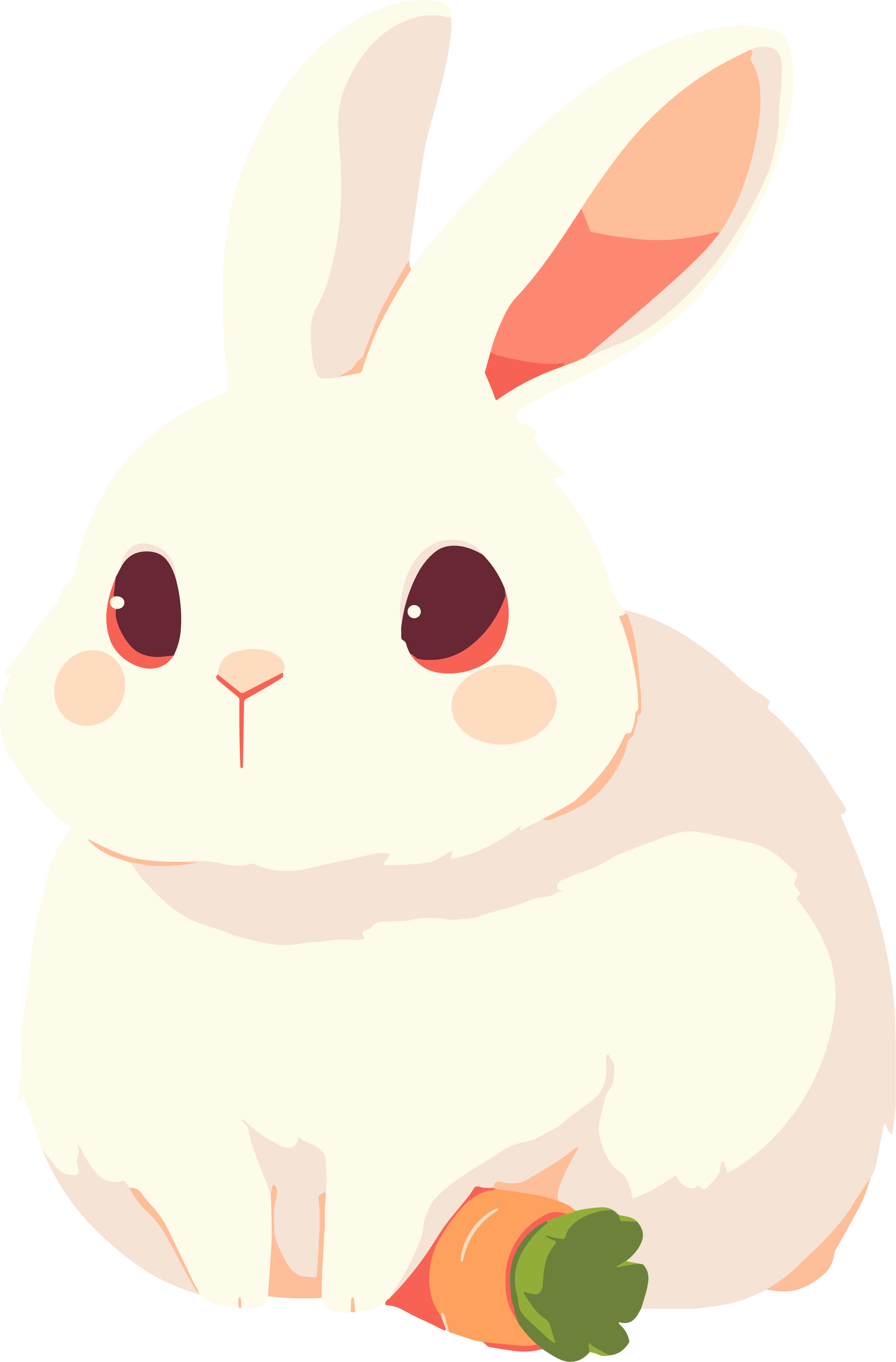 兔子和胡萝卜插画