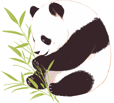 大熊猫高清素材