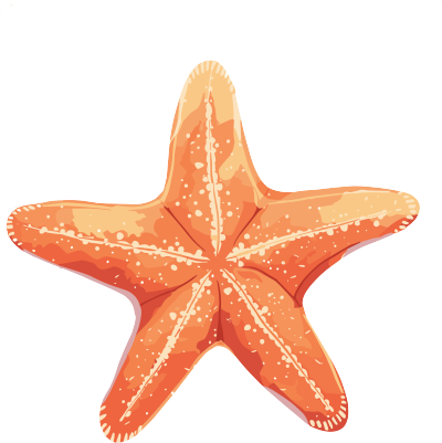 海洋海星简约元素