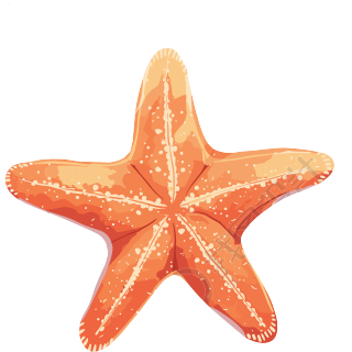海洋海星简约元素