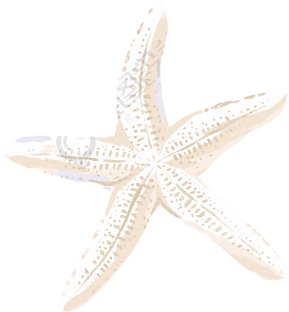海洋海星漂亮插画