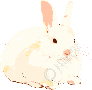 兔子呆萌插图