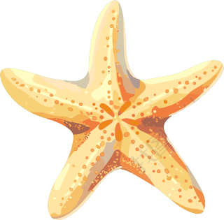 海洋海星素材