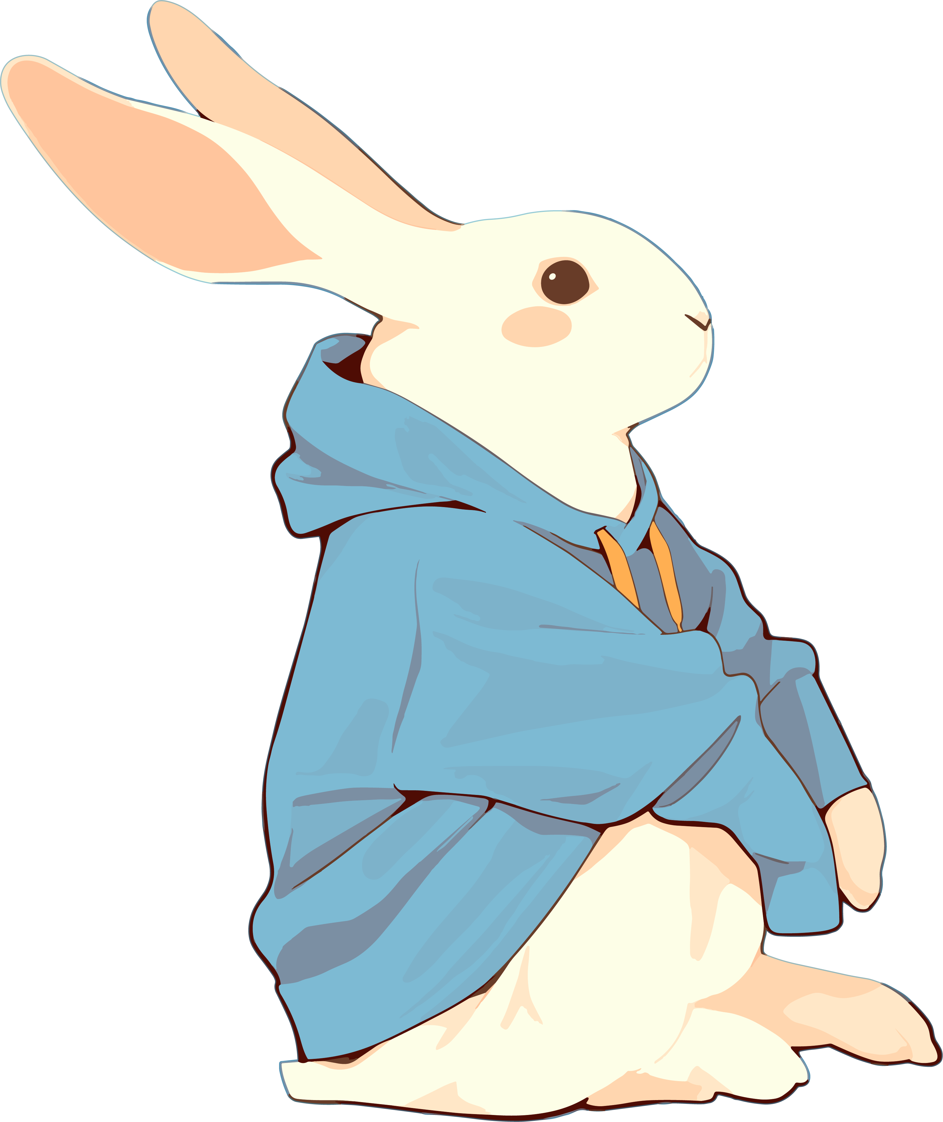 穿衣服的兔子创意素材