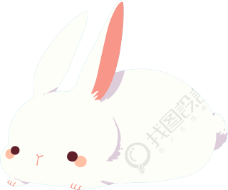兔子雪白插图