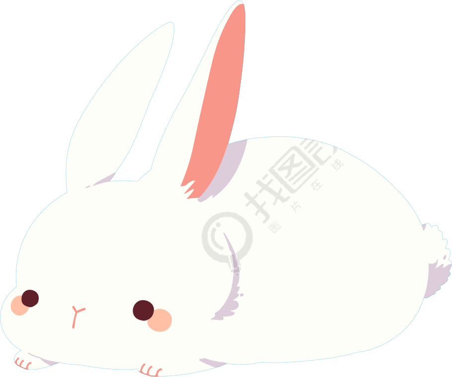 兔子雪白插图