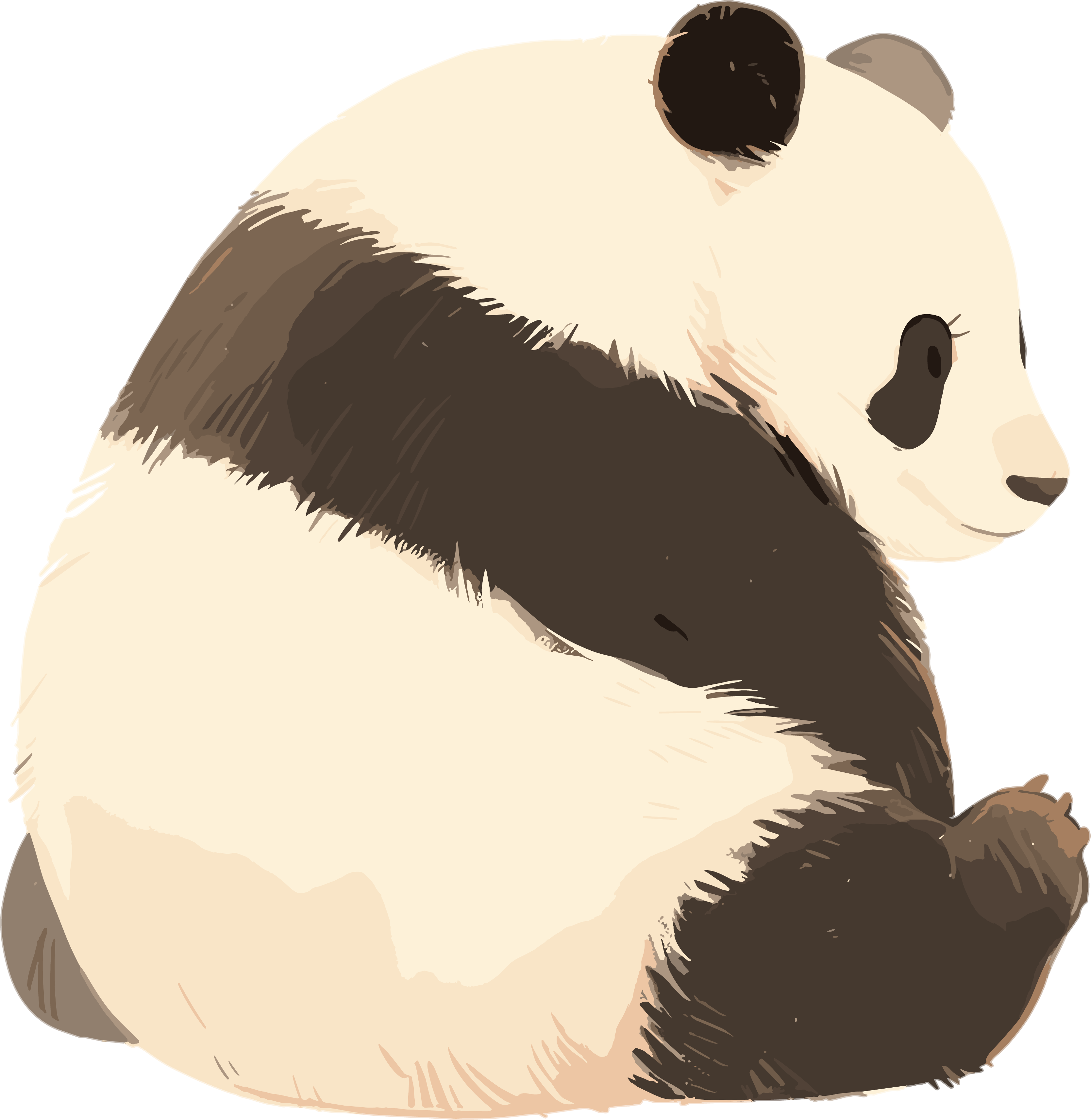 大熊猫简约PNG素材