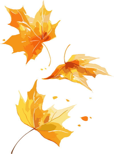 树叶透明背景素材