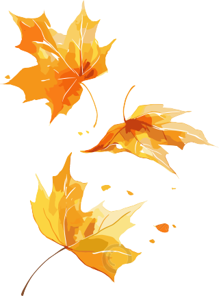 树叶透明背景素材