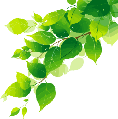 树叶小清新素材