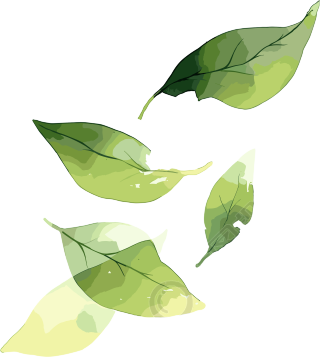 树叶创意素材