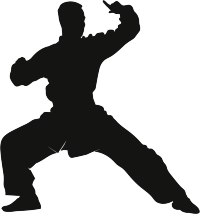 武术剪影插图