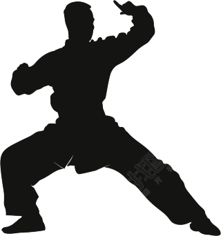 武术剪影插图
