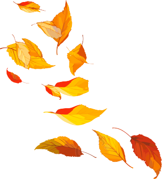 树叶唯美插图