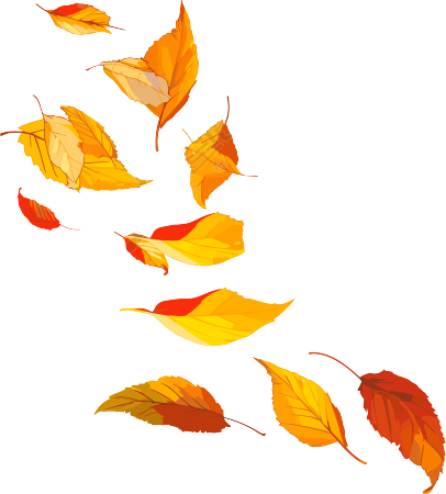 树叶唯美插图