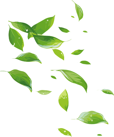 树叶飘落素材