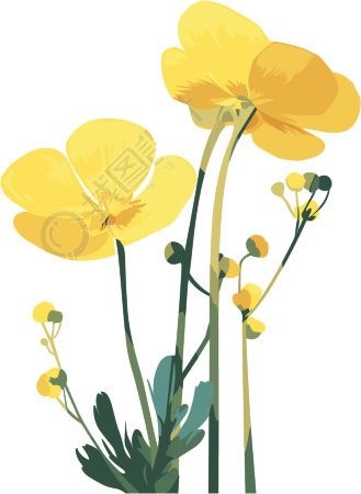 油菜花PNG商用素材