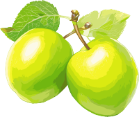 青梅插画设计元素