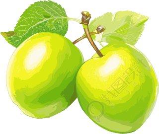 青梅插画设计元素
