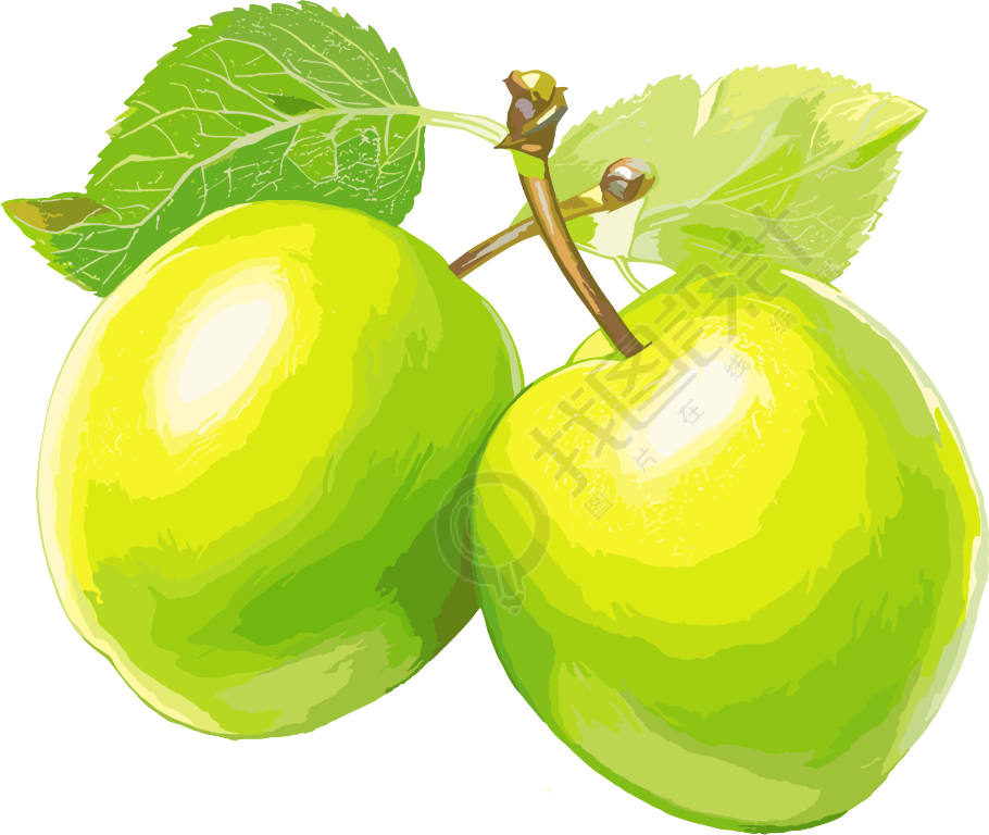 青梅插画设计元素