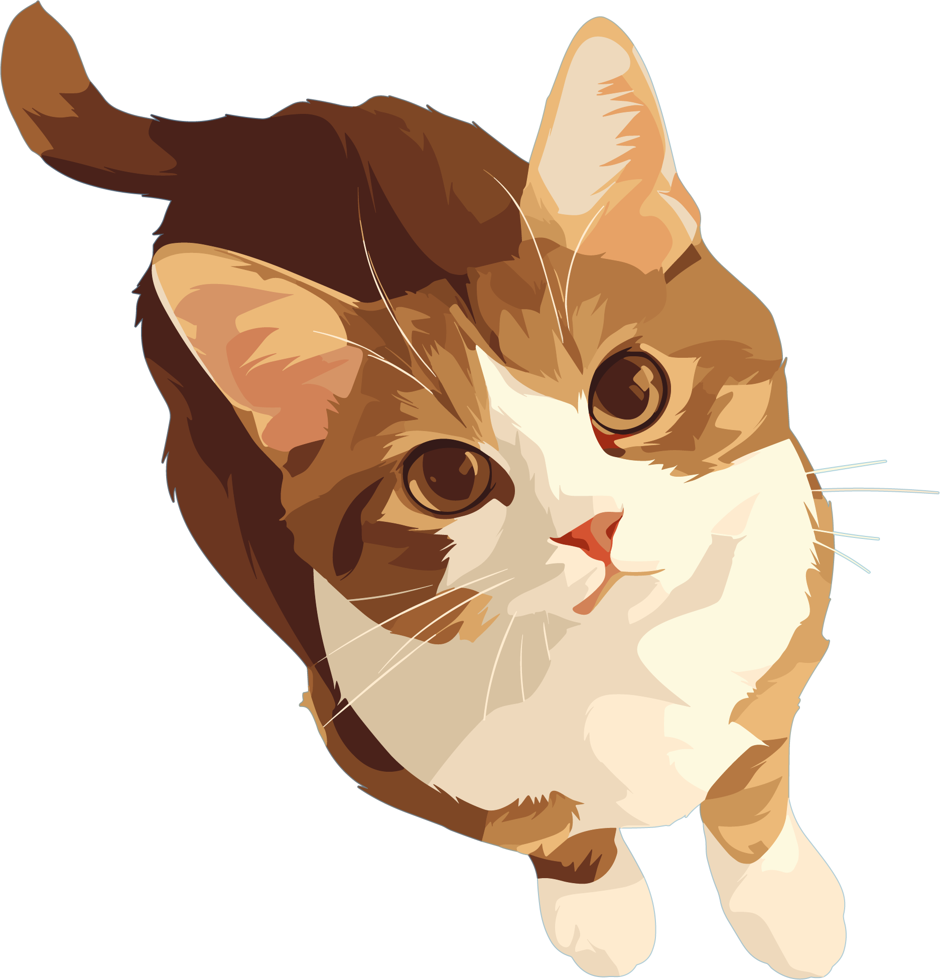猫咪可爱插图