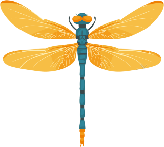 昆虫蜻蜓扁平插画