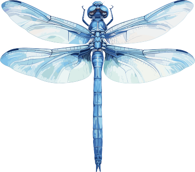 蜻蜓昆虫插图