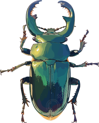 牛角虫昆虫插画