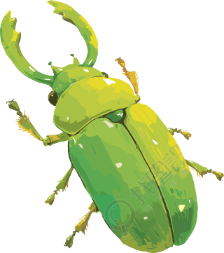 牛角虫昆虫插画素材