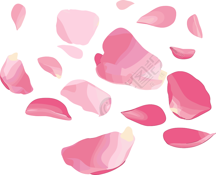 花瓣贴纸透明背景插图