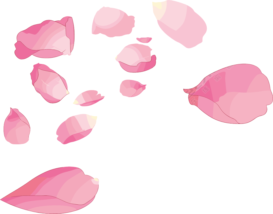 花瓣贴纸高清质量插图