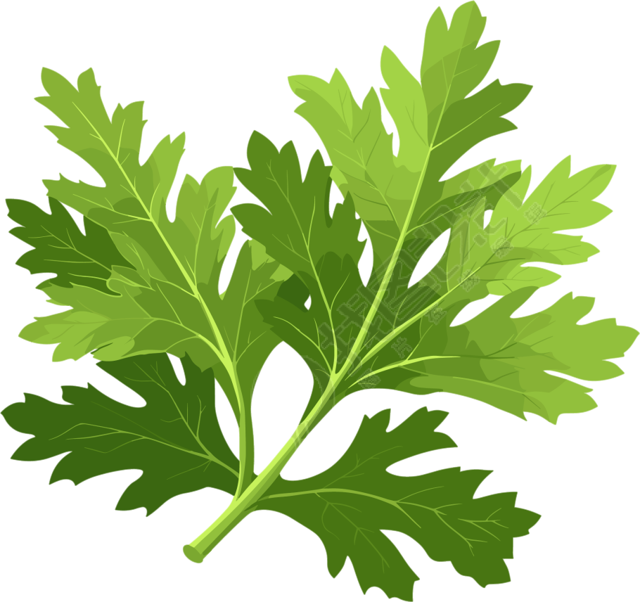 艾草简洁设计元素