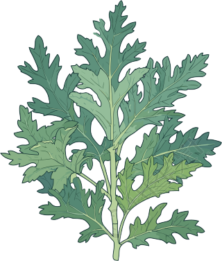 艾草简约设计元素