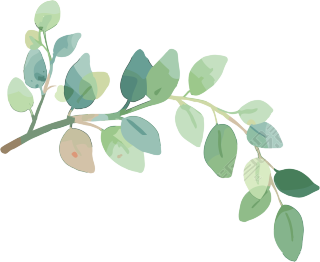树枝水彩插画