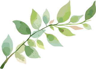 树枝水彩商用素材