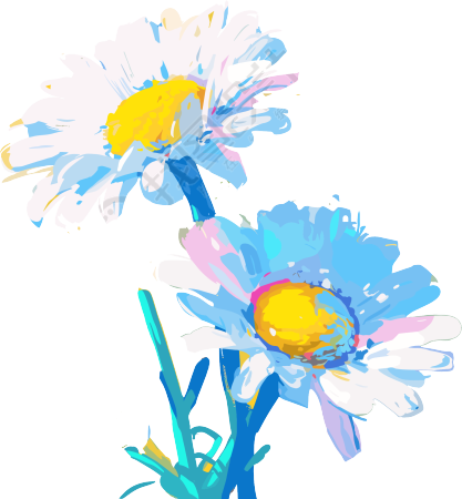 雏菊矢量插画
