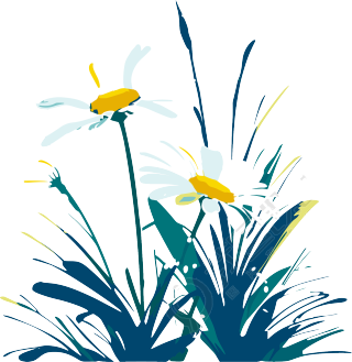 雏菊向量插画素材