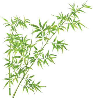 竹叶插画图形素材