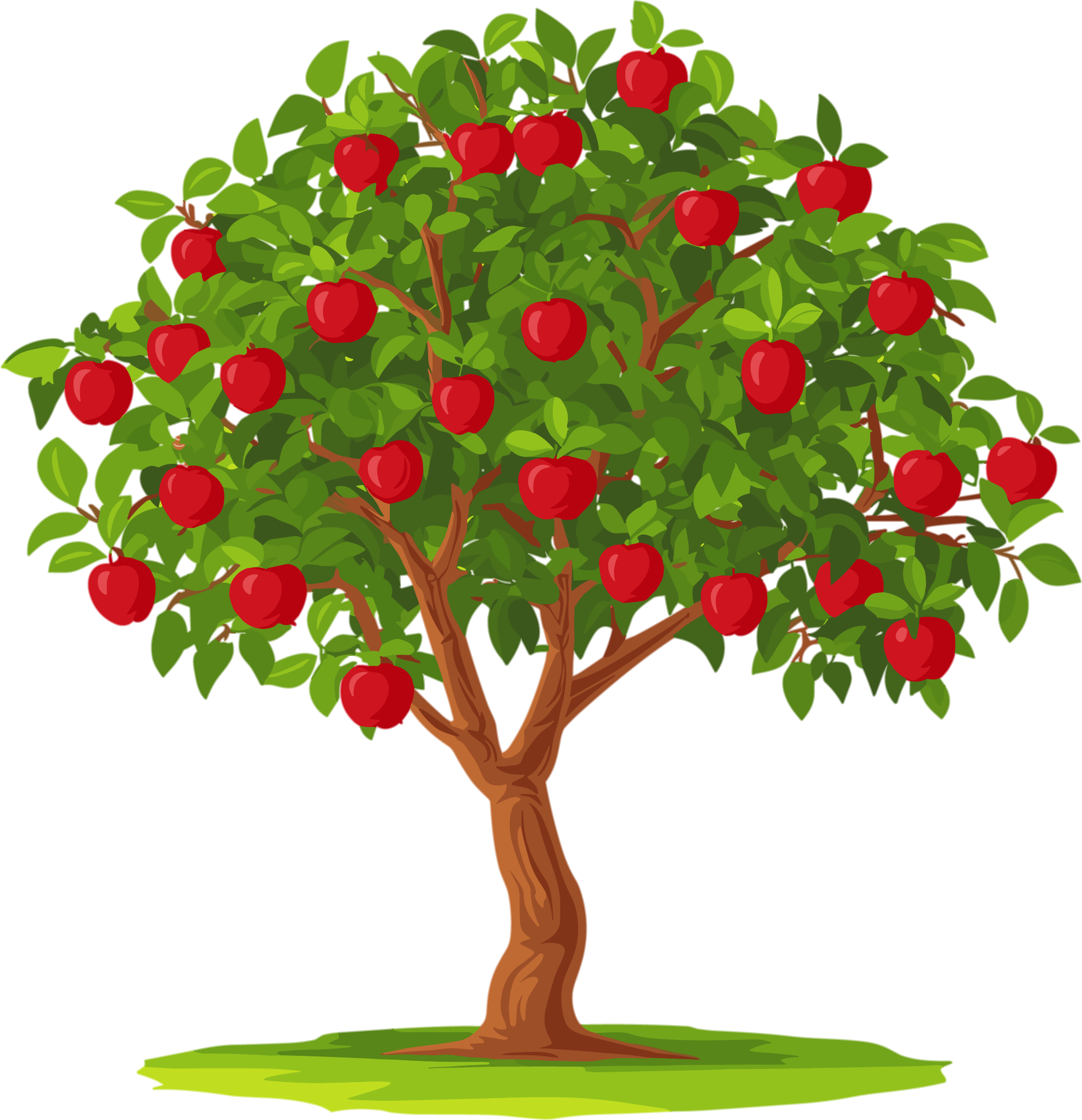 苹果树矢量PNG插图