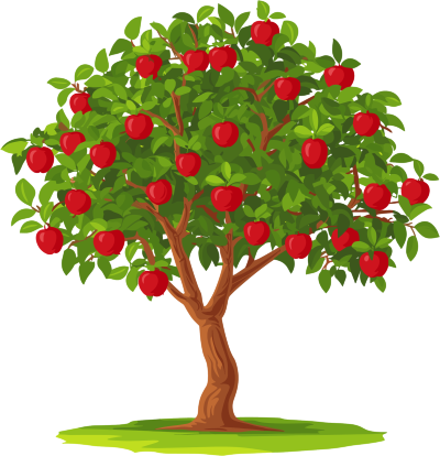 苹果树矢量PNG插图