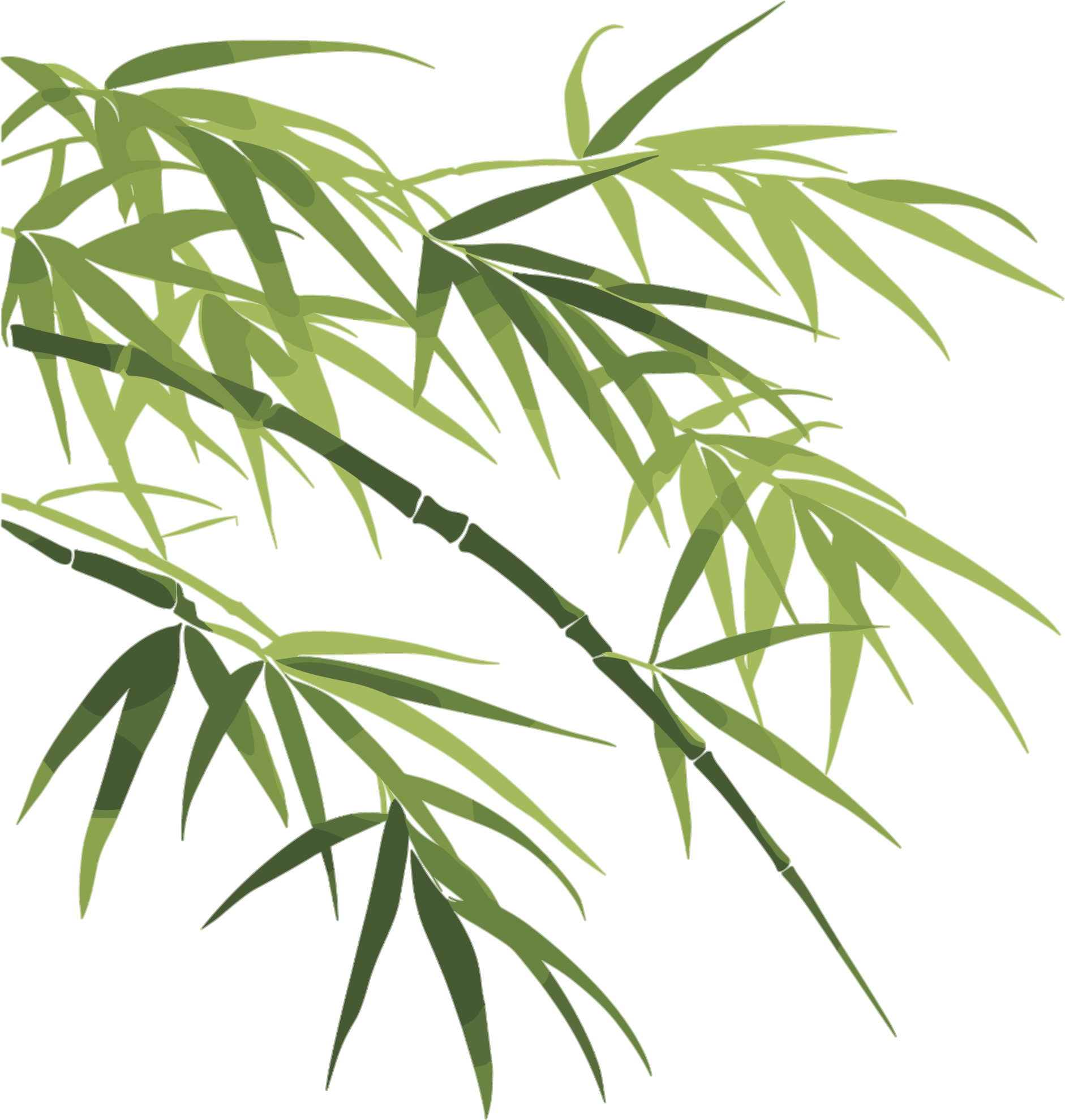 竹叶插画设计元素