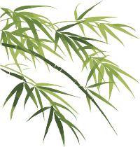 竹叶插画设计元素