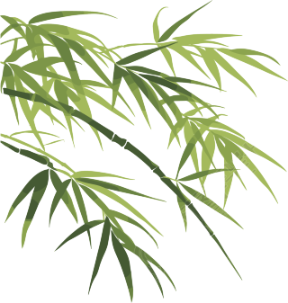 竹叶插画设计元素