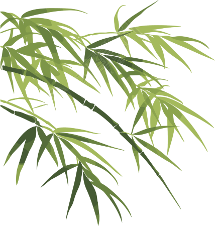 竹叶插画设计元素