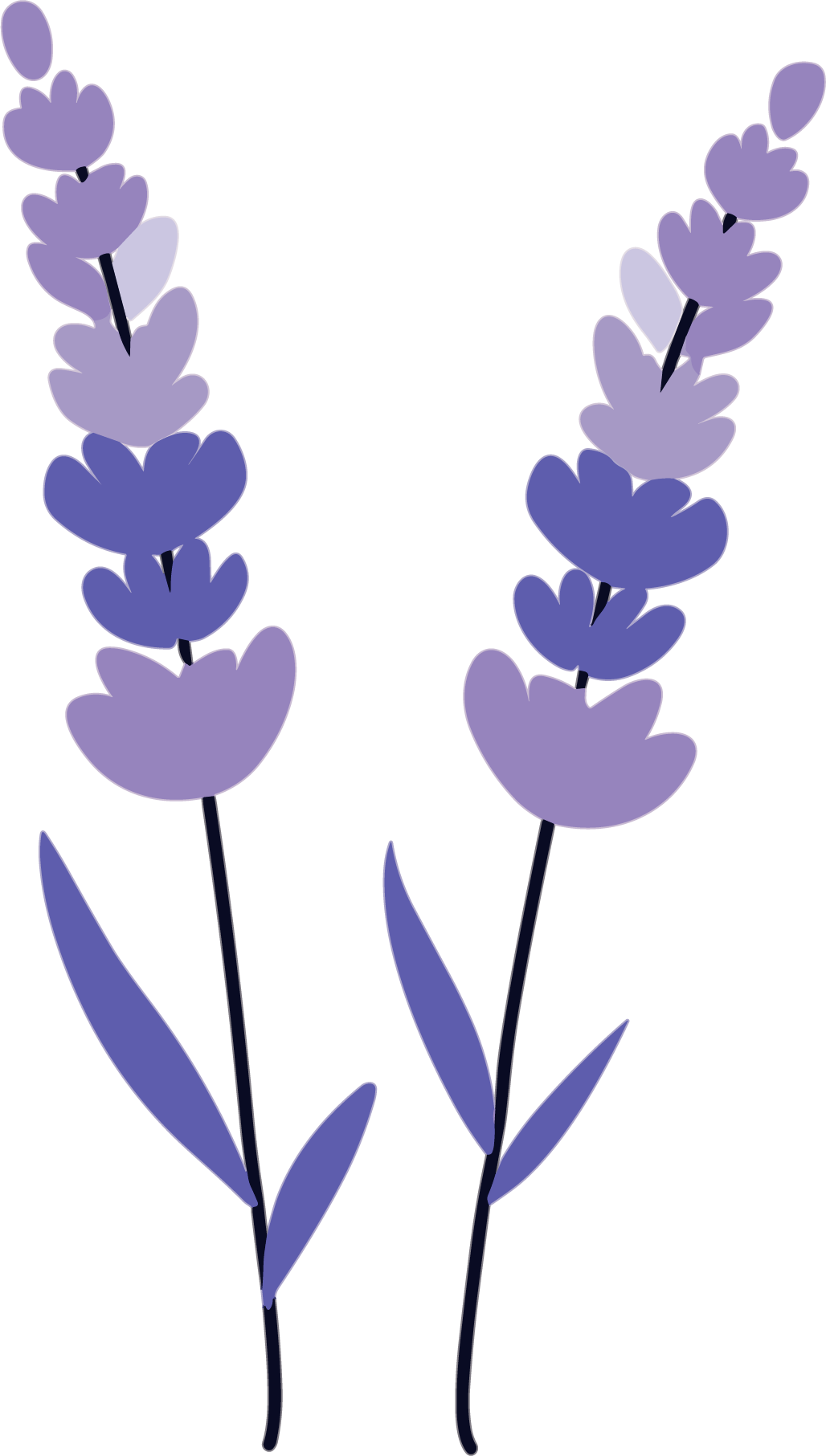 薰衣草插画设计元素