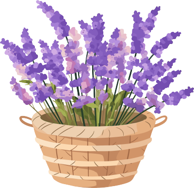 薰衣草清新插画